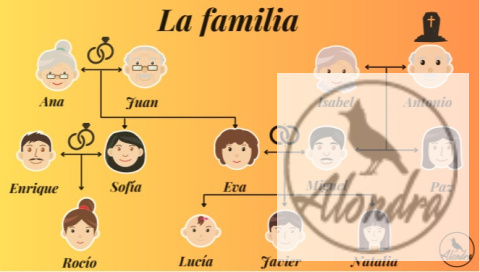 Plansza drzewo genealogiczne - árbol genealógico